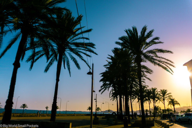 Spain, Mallorca, Palm Tree Sunset