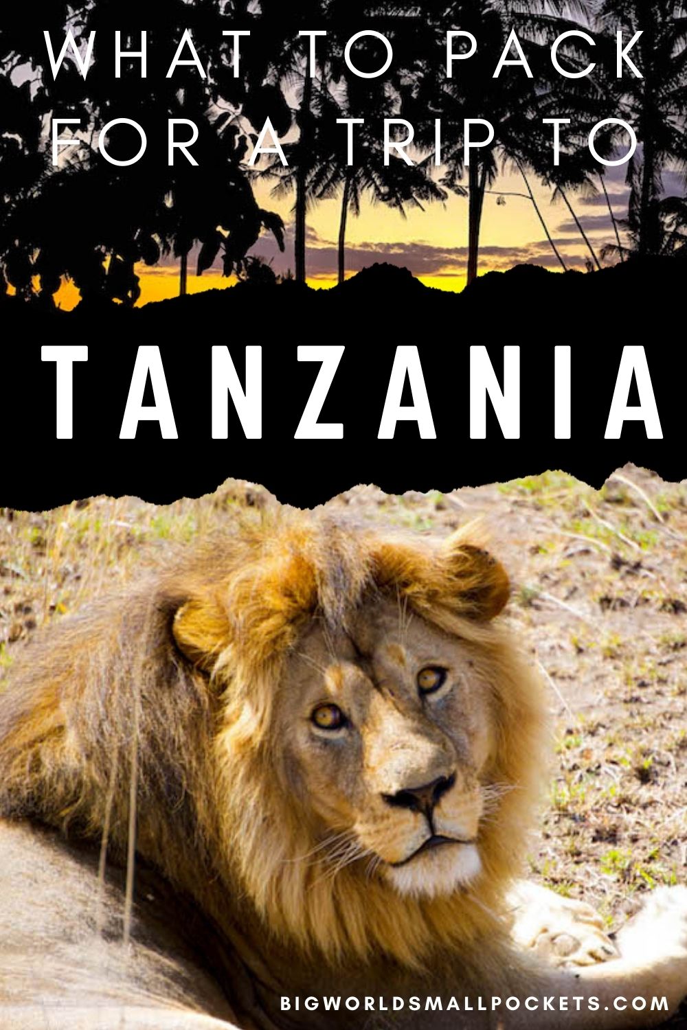 What to Pack for Travel in Tanzania
