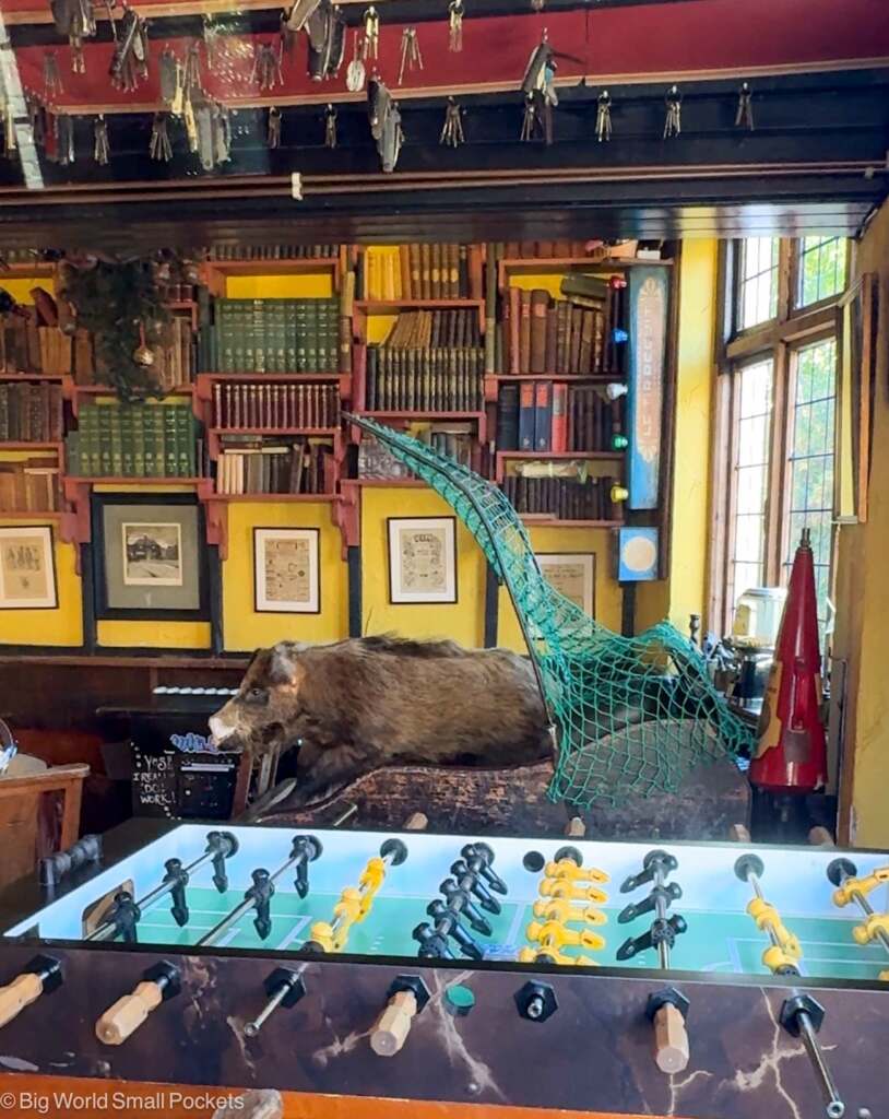 Winchester, Black Boy Pub, Interior