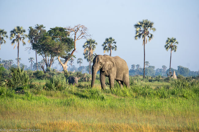 Why This East African Country is the Ultimate Safari Destination