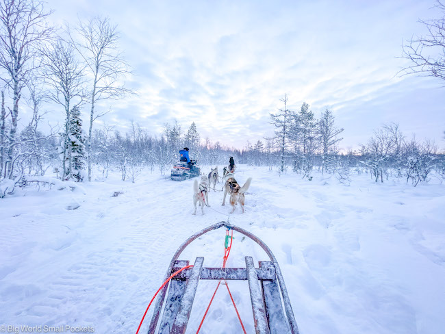 Finland, Lapland, Husky Sledding