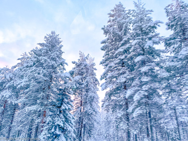 Finland, Lapland, Landscape