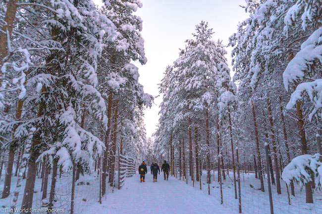 Finland, Lapland, Walking