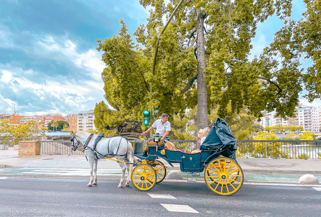 Spain, Seville, Horse & Cart