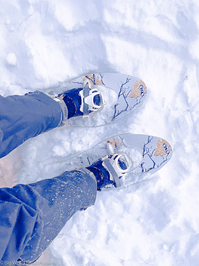 Finland, Lapland, Snow Shoe