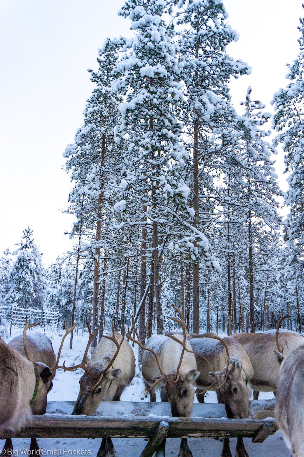 Travelling from Helsinki to Lapland in Finland