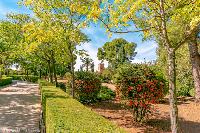 Granada, Alhambra, Trees