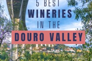 5 Best Wineries in the Douro Valley + How to Visit Them