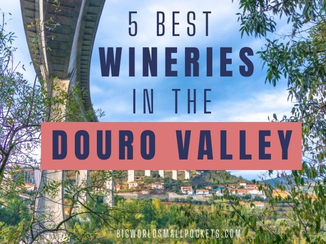 5 Best Wineries in the Douro Valley + How to Visit Them