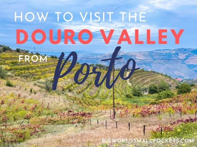 How to Visit the Douro Valley from Porto