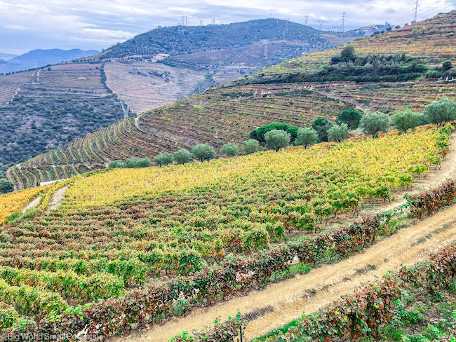 Portugal, Douro Valley, Views