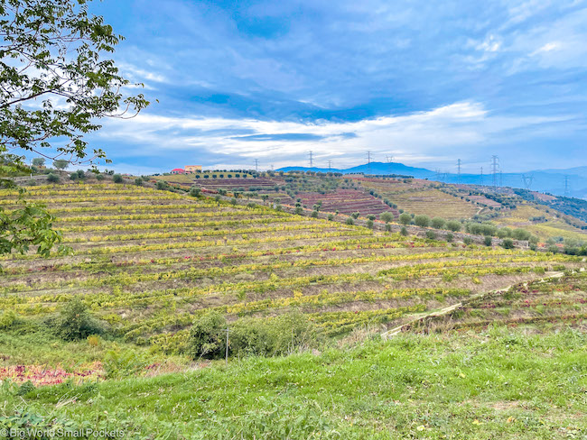Portugal, Douro Valley, Winery View