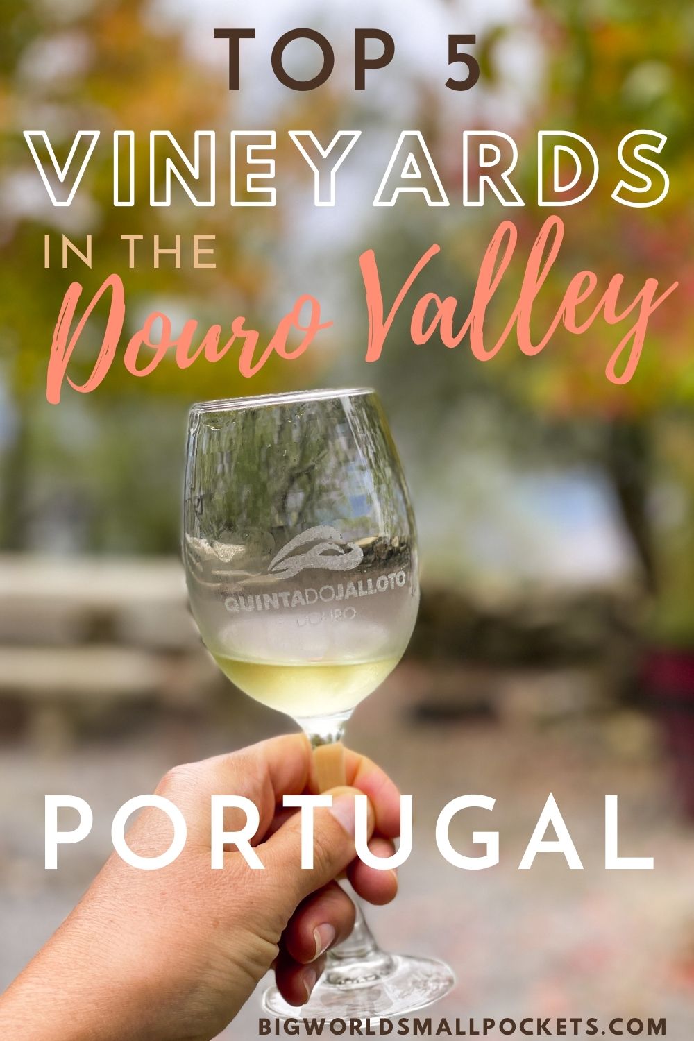 Top 5 Vineyards in Portugal's Douro Valley