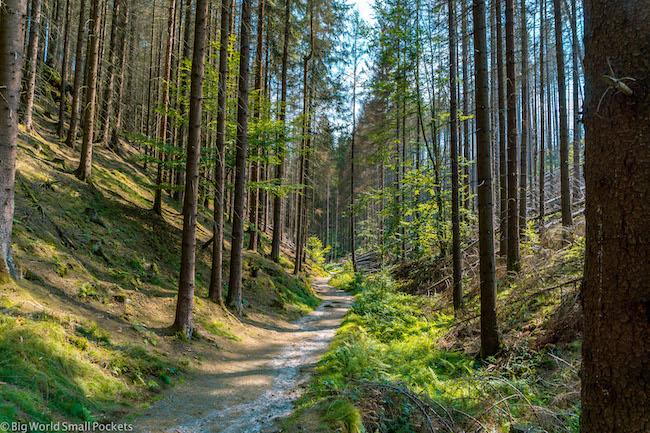 Czechia, Bohemian Switzerland National Park, Walking Trail