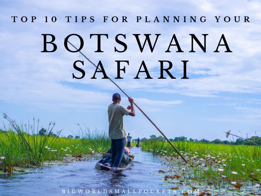 Top 10 Tips for Planning a Botswana Safari