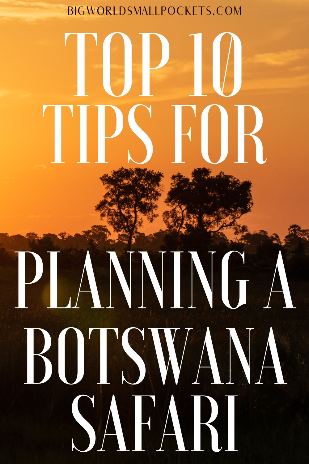 Top 10 Tips for Planning a Safari in Botswana