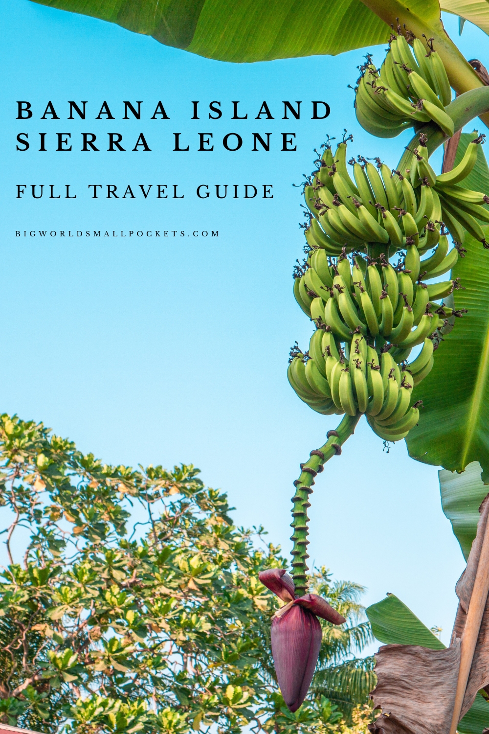 Banana Island in Sierra Leone - Full Travel Guide