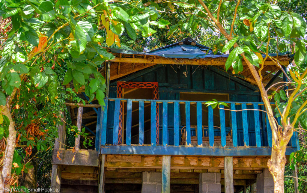 Sierra Leone, Chimpanzee Sanctuary, Treehouse