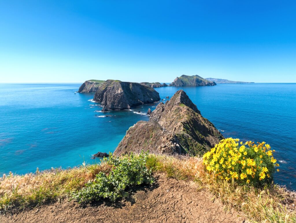 US, California, Channel Islands NP