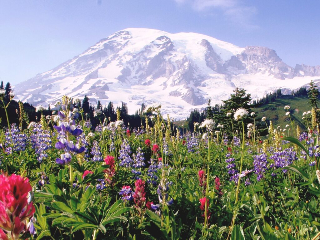 US, Washington, Mount Rainier NP