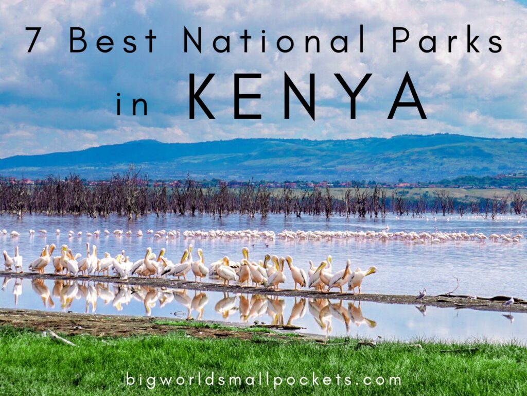7 Best National Parks in Kenya