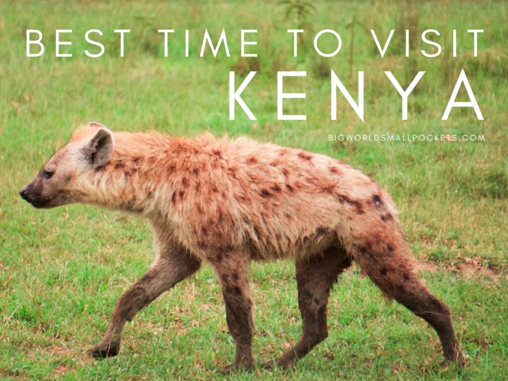 Best Time to Visit Kenya
