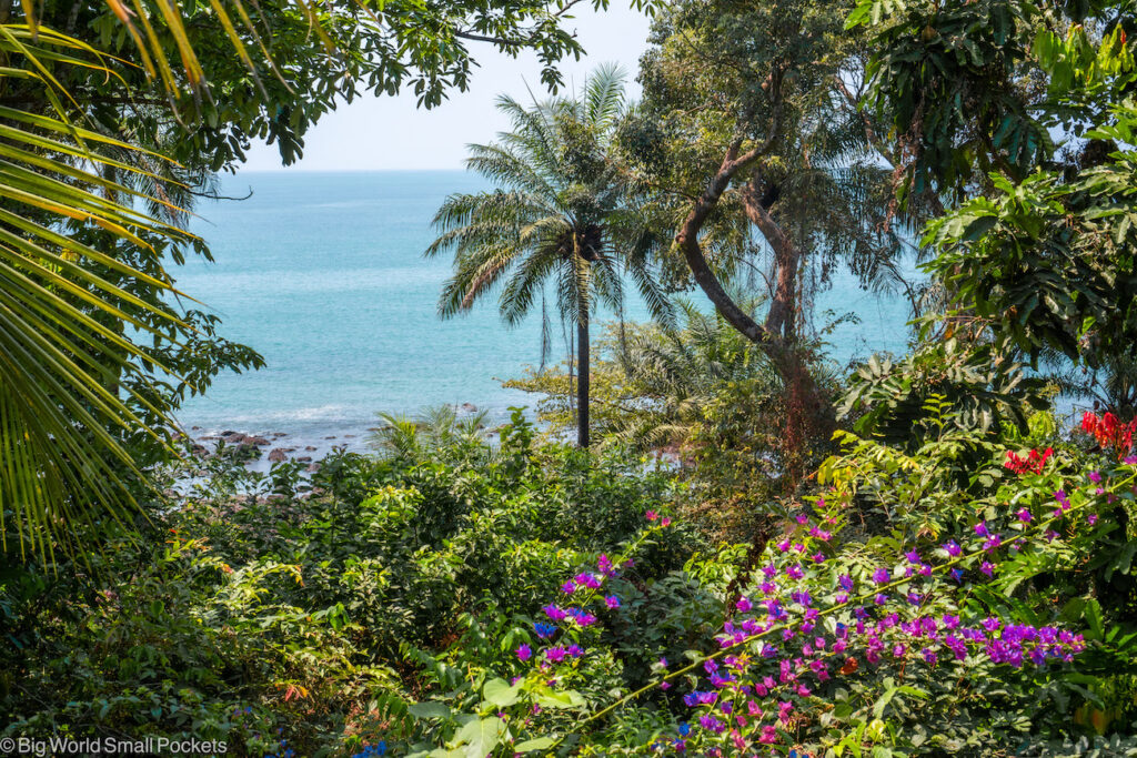 Sierra Leone, Turtle Islands, Bush