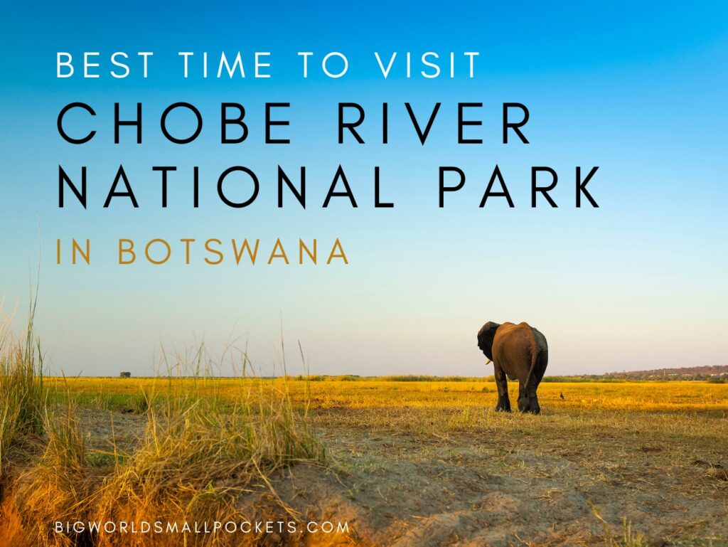 Best Time to Visit Chobe River National Park