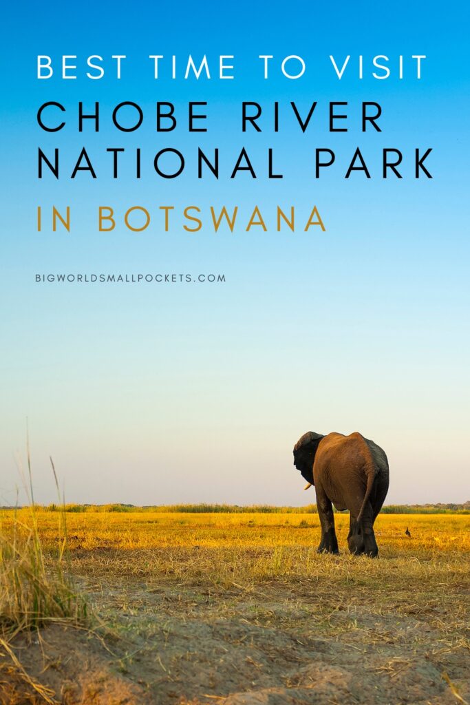 Best Time to Visit Chobe River National Park, Botswana