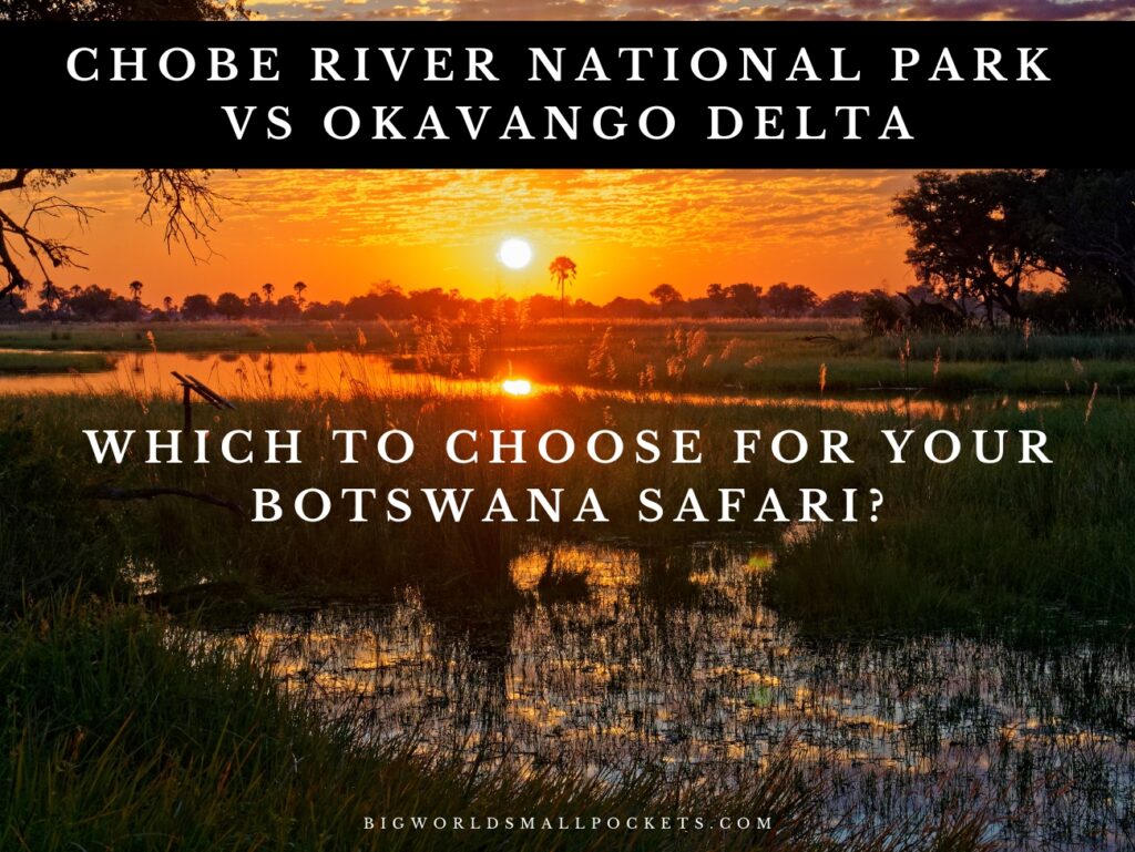 Chobe River National Park vs Okavango Delta in Botswana