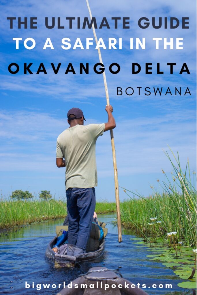 The Ultimate Guide to a Safari in the Okavango Delta