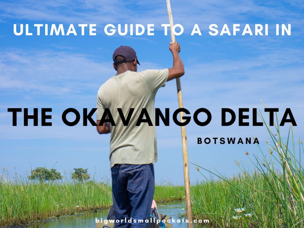 Ultimate Guide to a Safari in the Okavango Delta
