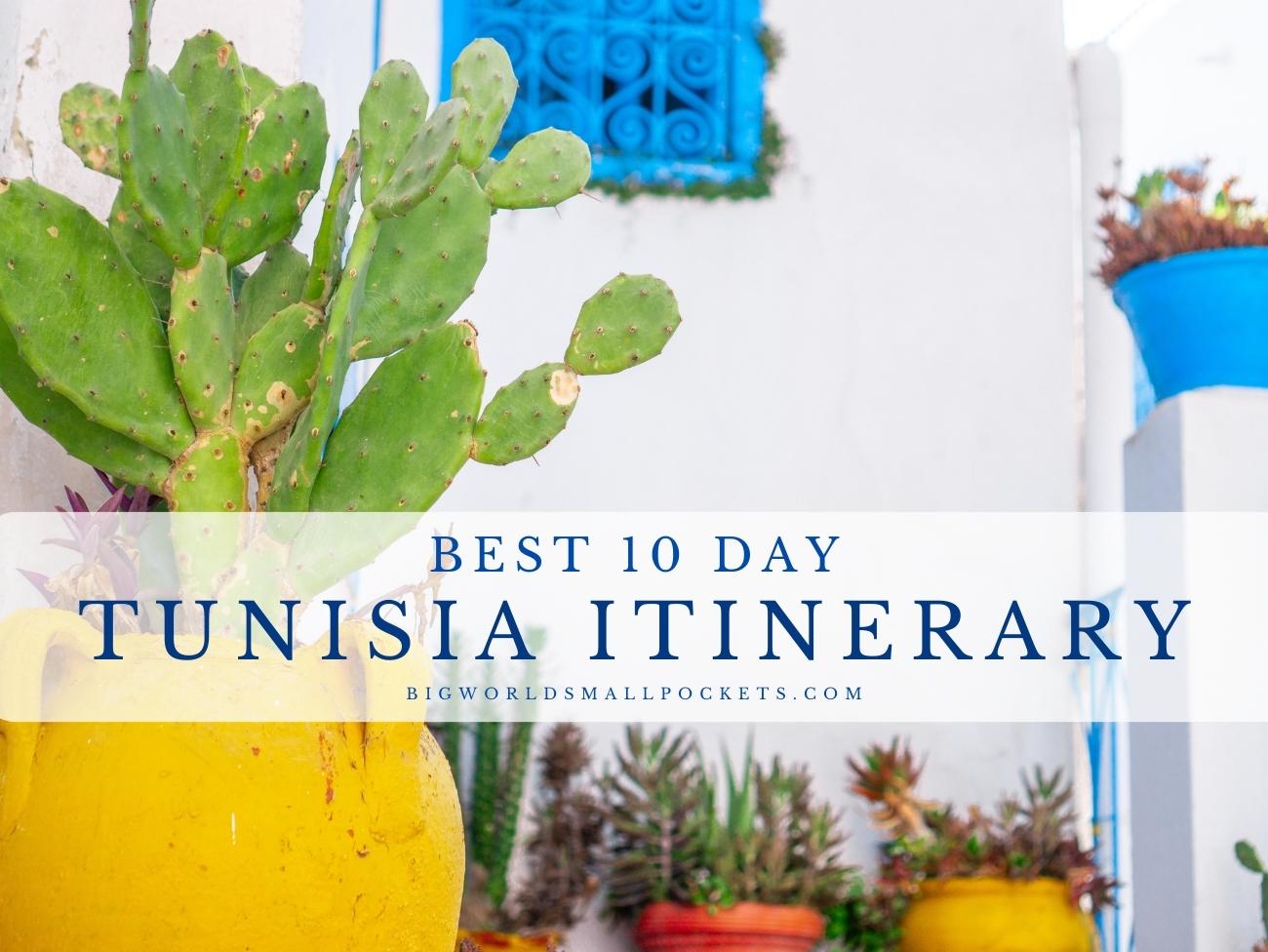 Best 10 Day Tunisia Itinerary All about travel