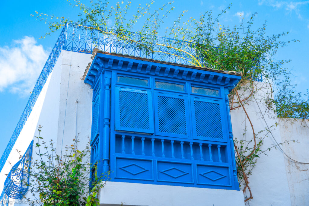 Tunisia, Sidi Bou Said, Window Box