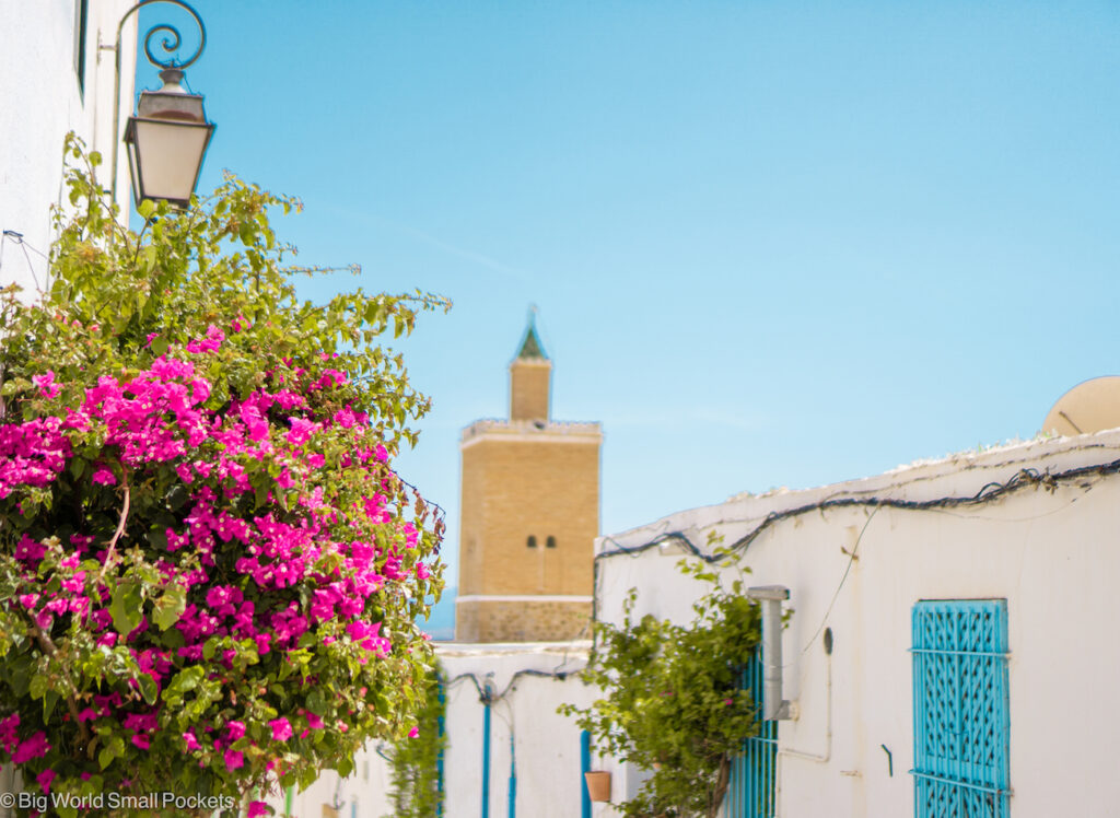 Tunisia, Zaghouan, Street View