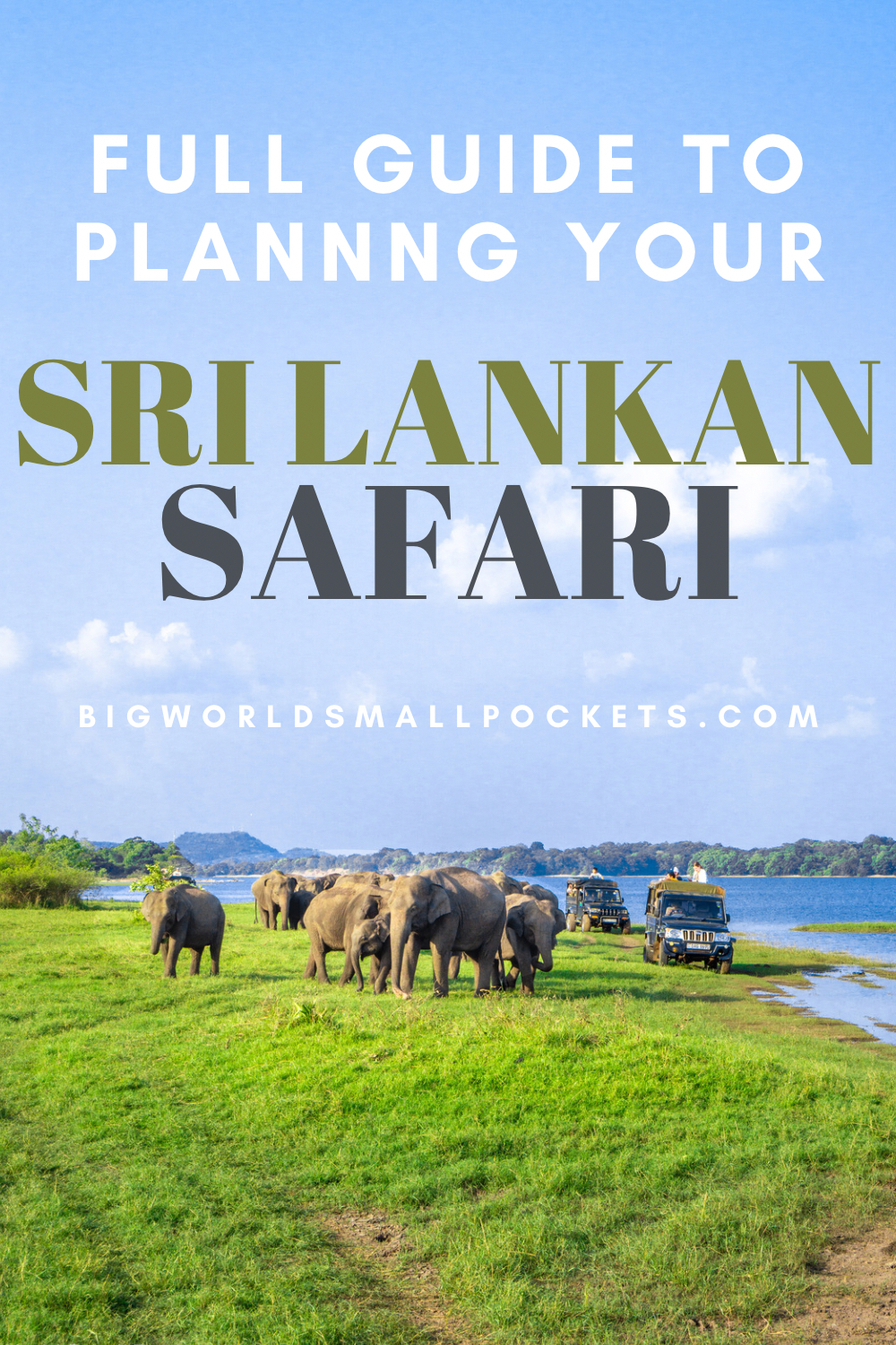 How to Plan the Perfect Sri Lanka Safari