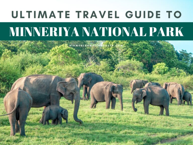 Complete Travel Guide to Minneriya National Park