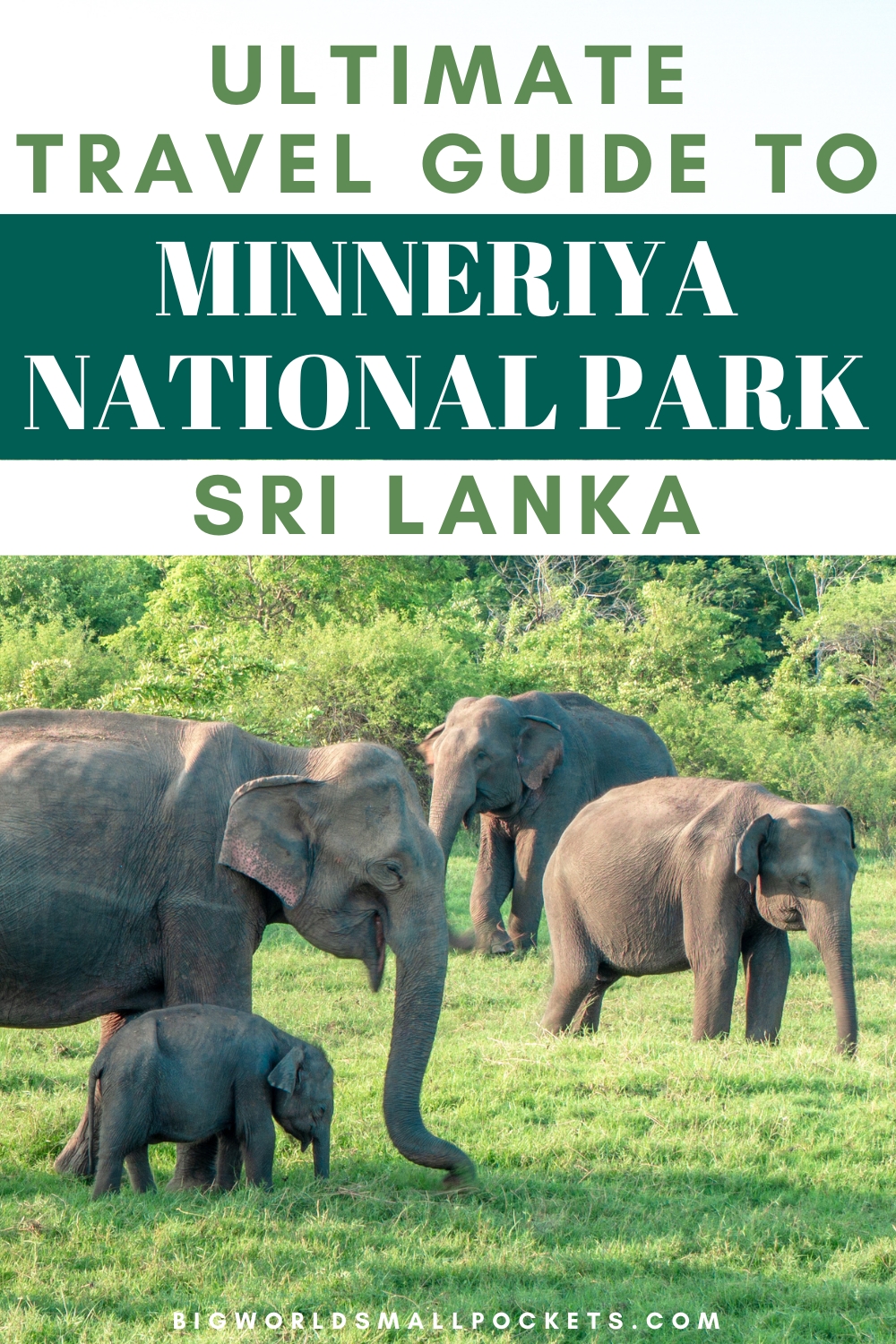 Complete Travel Guide to Minneriya National Park, Sri Lanka