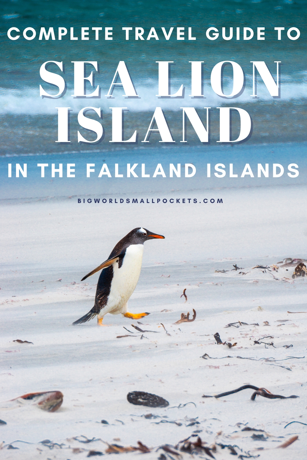 Complete Travel Guide to Sea Lion Island in the Falklands