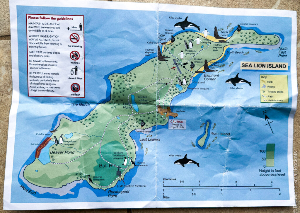 Falklands, Sea Lion Island, Map