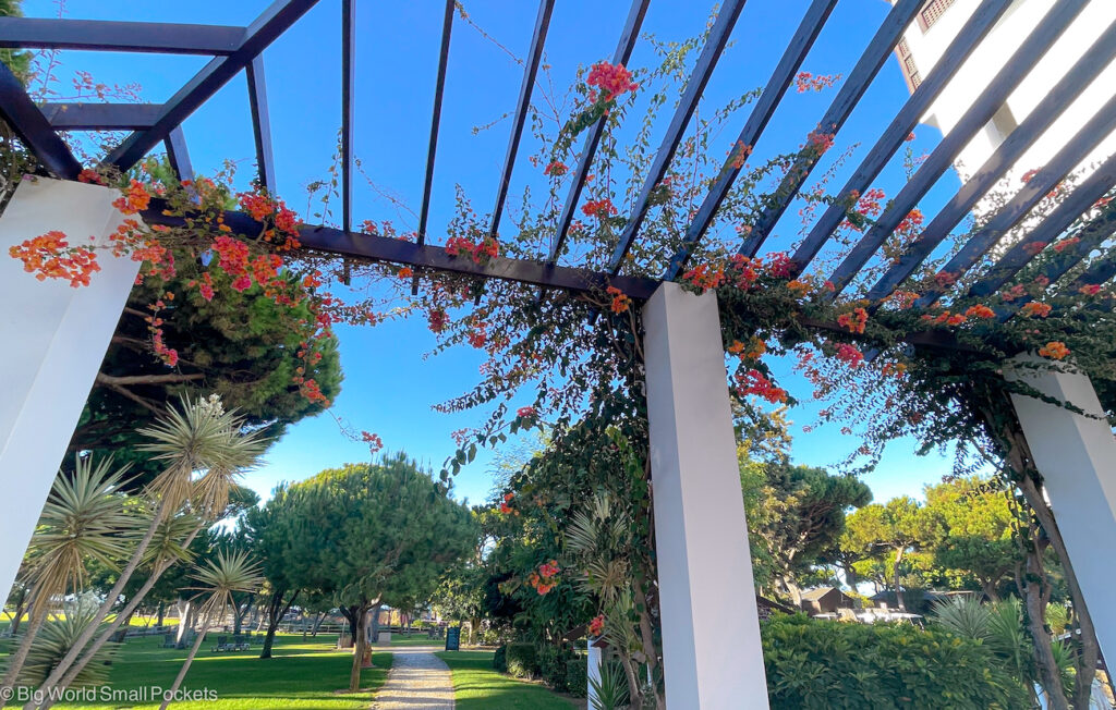 Portugal, Algarve, Flowers on Trellis
