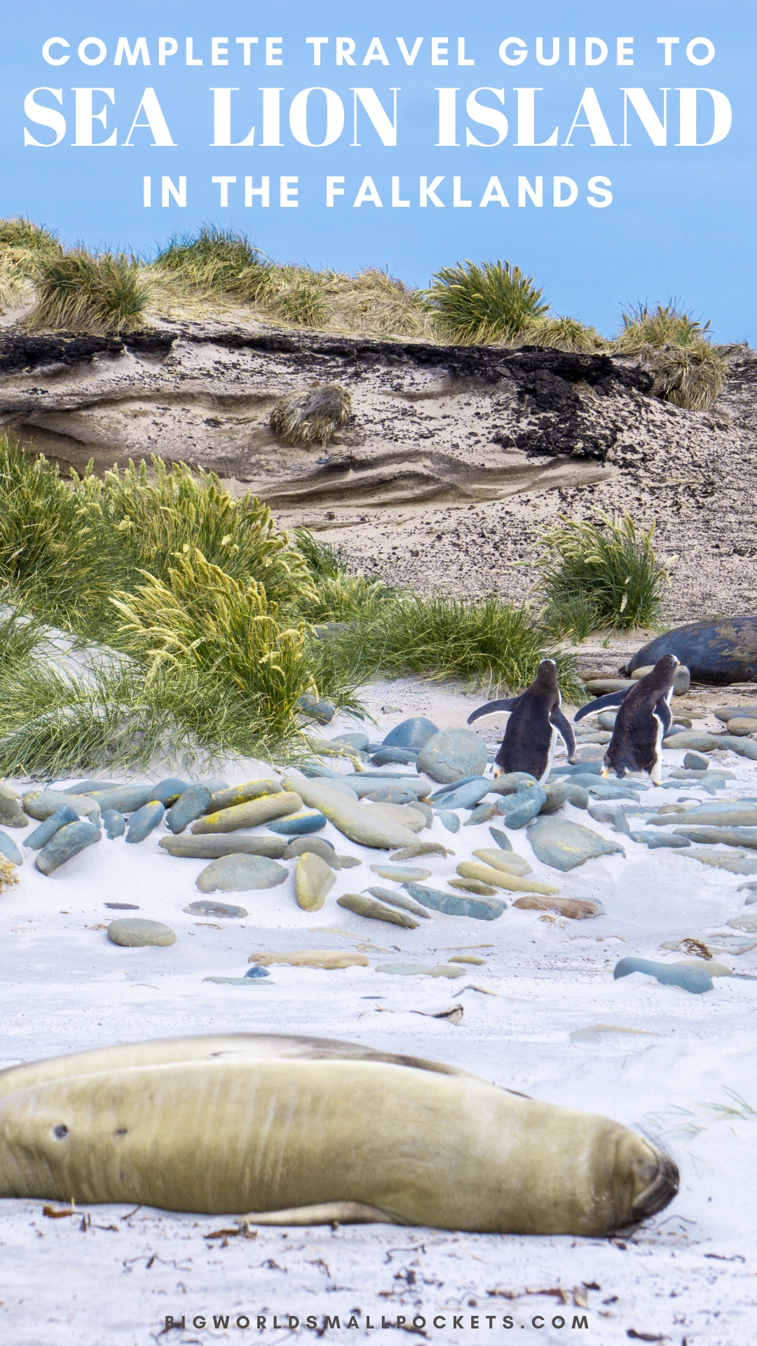 Travel Guide to Sea Lion Island, Falkland Islands