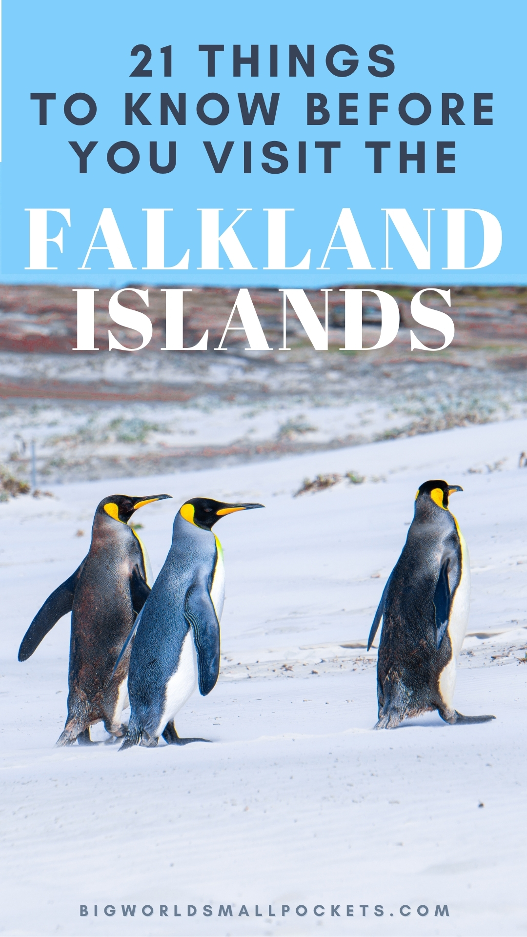 21 Things to Know Before you Visit the Falkland Islands