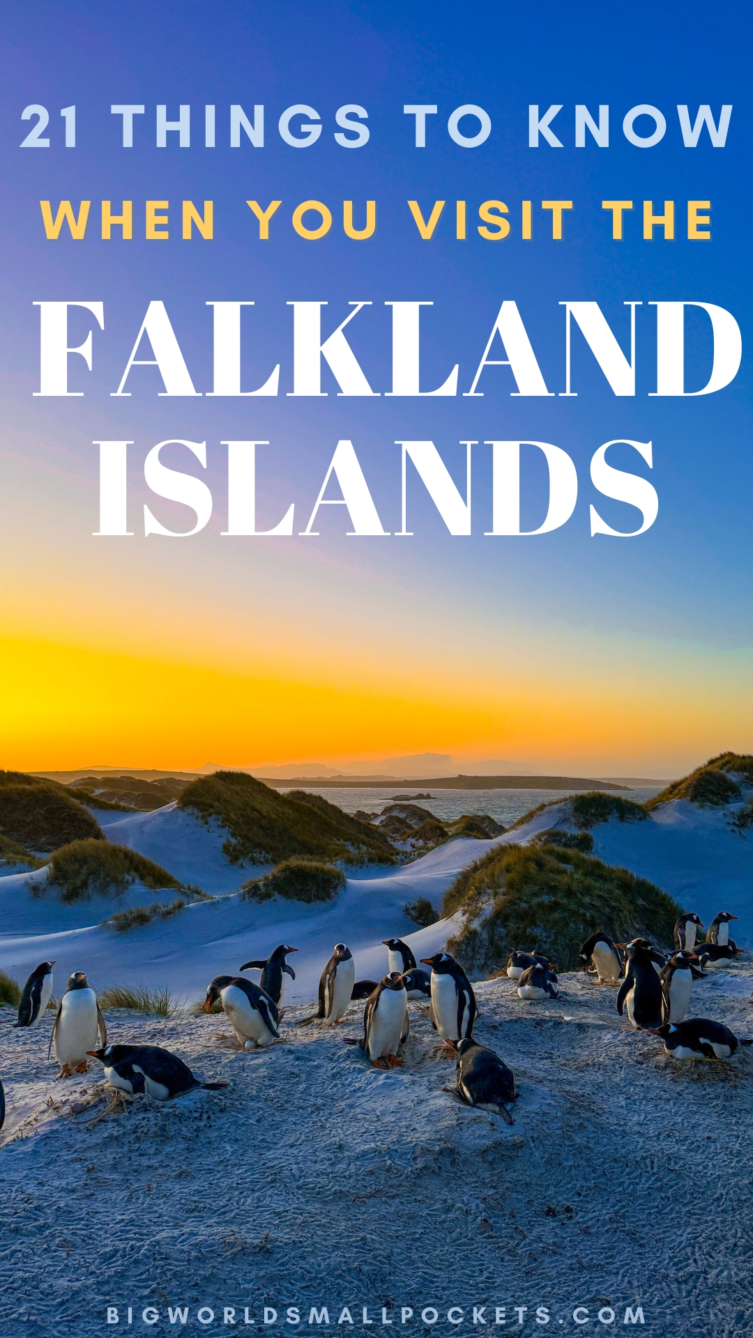 21 Things to Know When You Visit the Falkland Islands