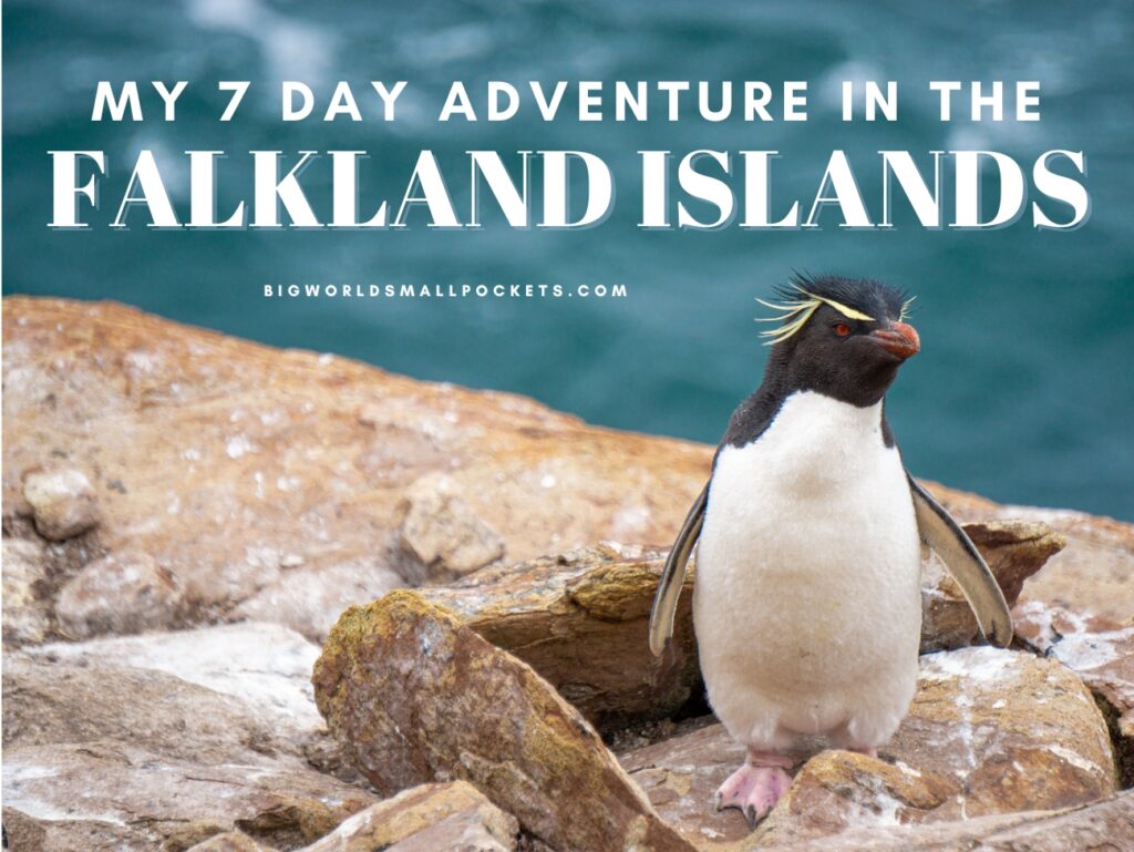 7 Days in the Falkland Islands