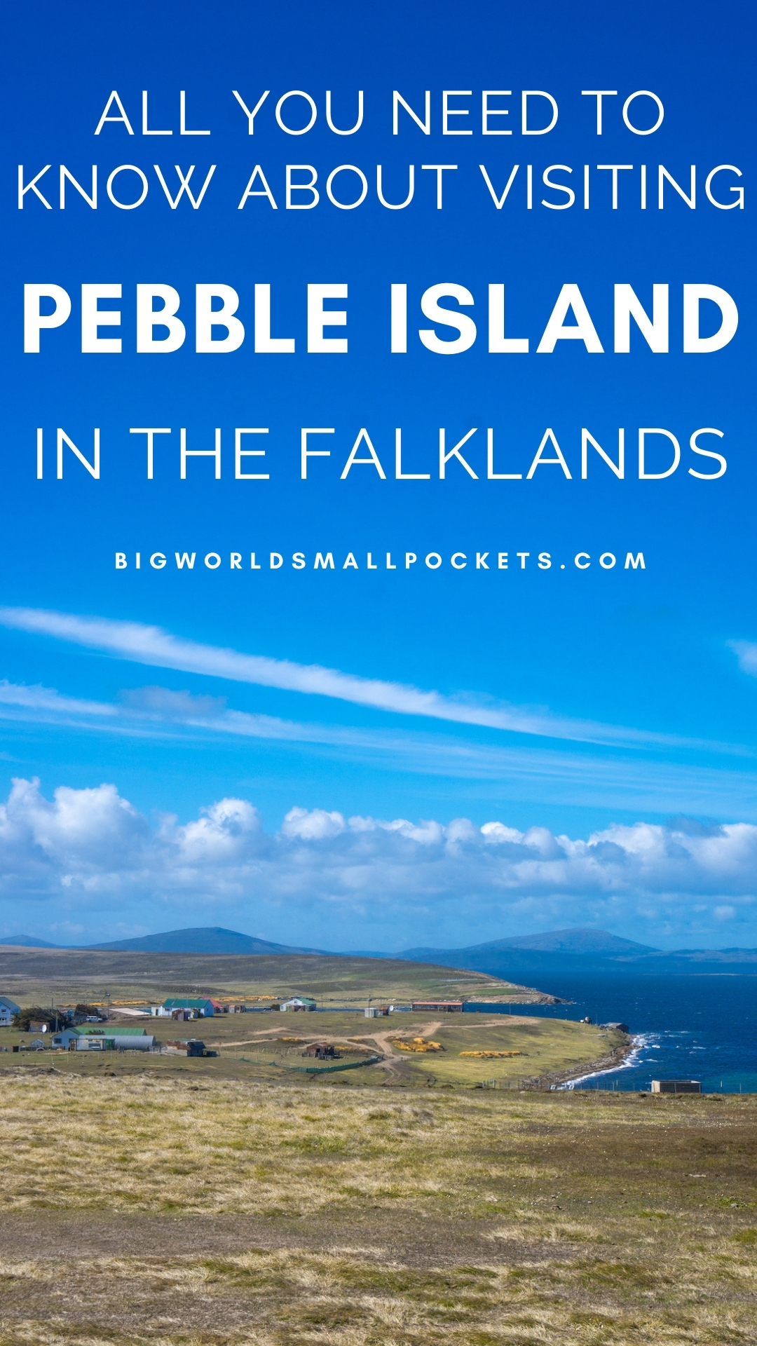 All You Need to Know About Visiting Pebble Island, in the Falklands