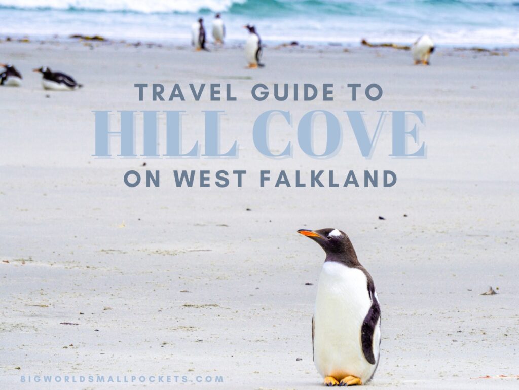 Hill Cove, Falkland Islands