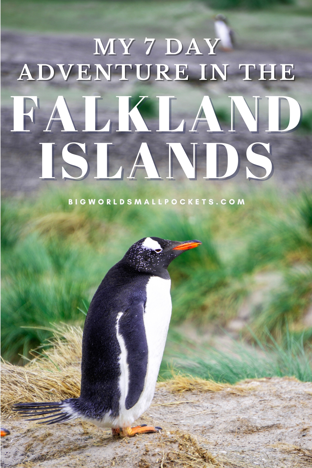 My 7 Day Visit to the Falkland Islands