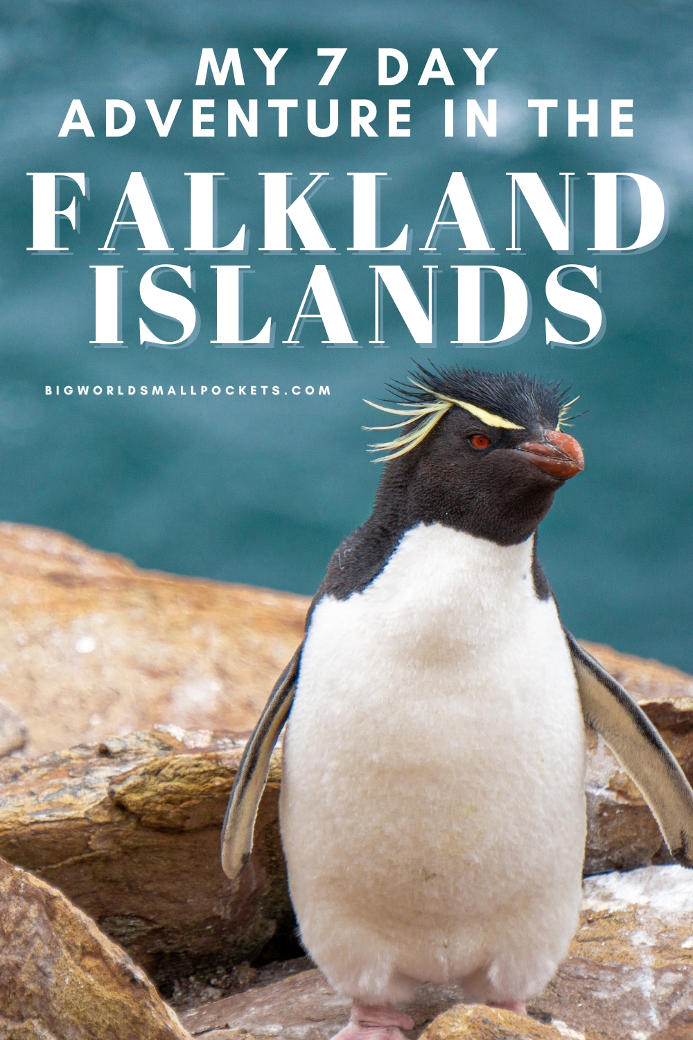 My 7 Days Travelling in the Falkland Islands