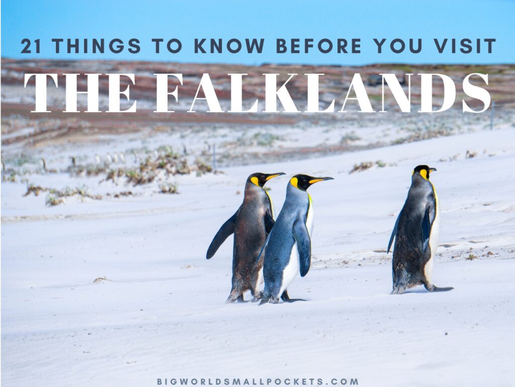 Things to Know Before you Visit the Falkland Islands